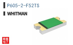 P605-2-F52TS ͼƬ